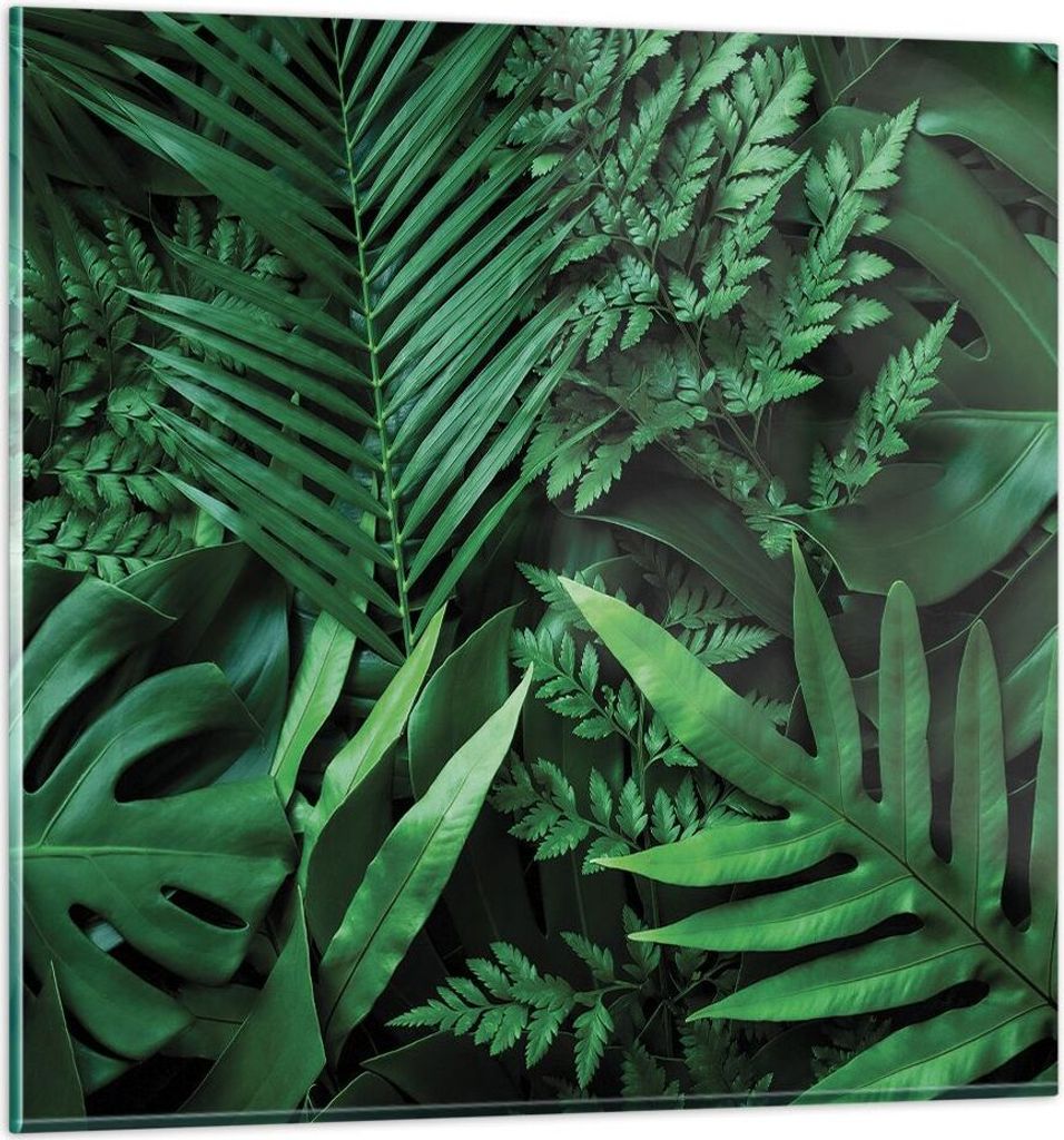 Bilder auf glas - Einteilig - Exotisch Blätter Monstera - 50x50cm - Glasbilder - Wandbilder - Bilder - zum Aufhängen bereit - Wanddekoration aus ...