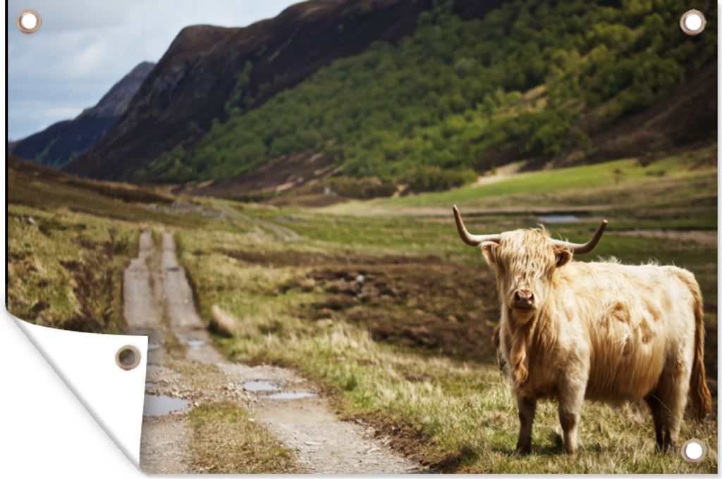 MuchoWow 90x60 cm Outdoor-Poster Gartendeko Sichtschutz Garten Poster für den Garten Schottische Highlander - Pfad - Wald