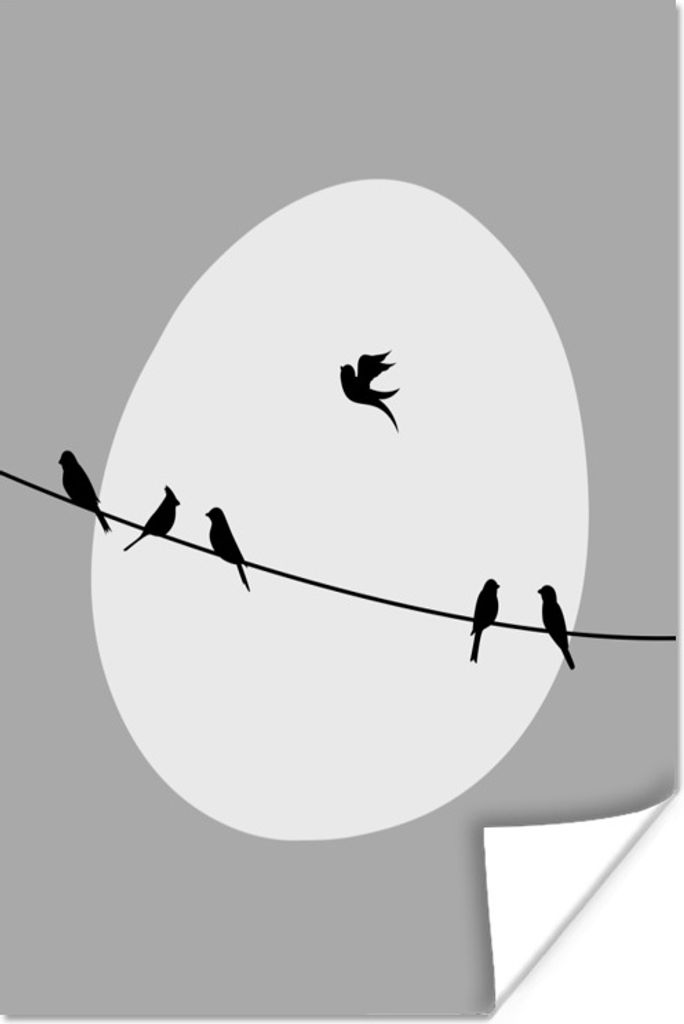 MuchoWow Poster Vögel - Schwarz - Weiß 120x180 cm - Kunstposter