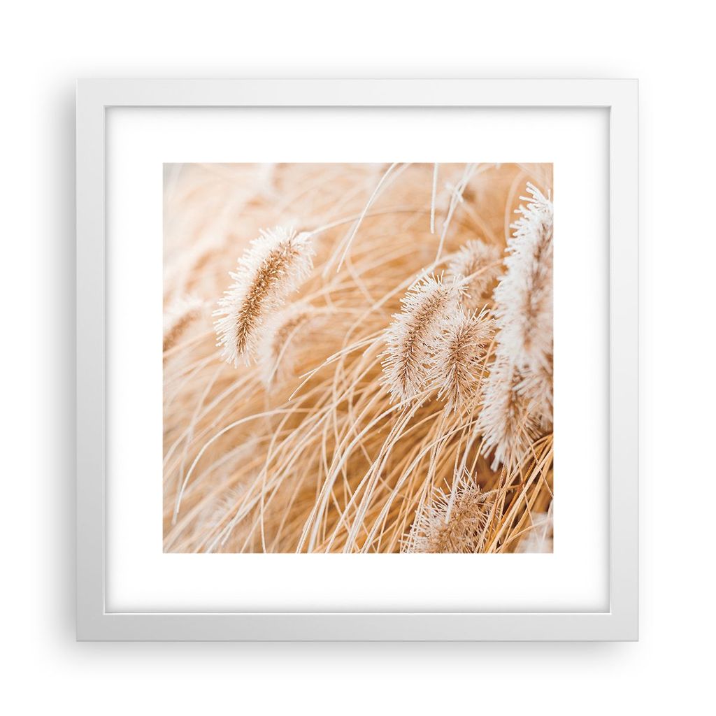 Gerahmtes Poster - Weißer Rahmen - Gras Boho Licht - 30x30 cm - Wand Bild - Wanddeko - Wandbilder - Kunstposter - Wandposter - Bilderrahmen - Bild...
