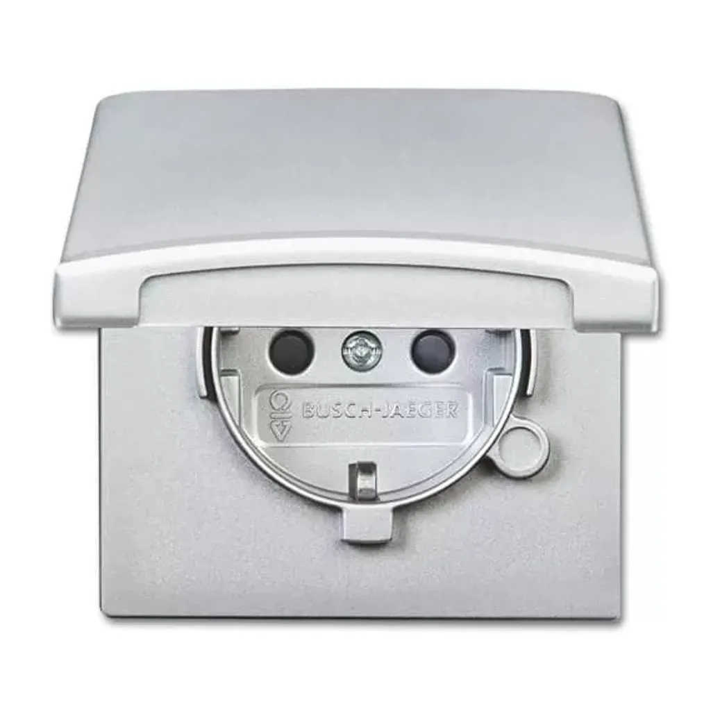 Rénovez vos Prises avec l'Insert Busch-Jaeger Schuko 20 EUGKB-33-101 - 2