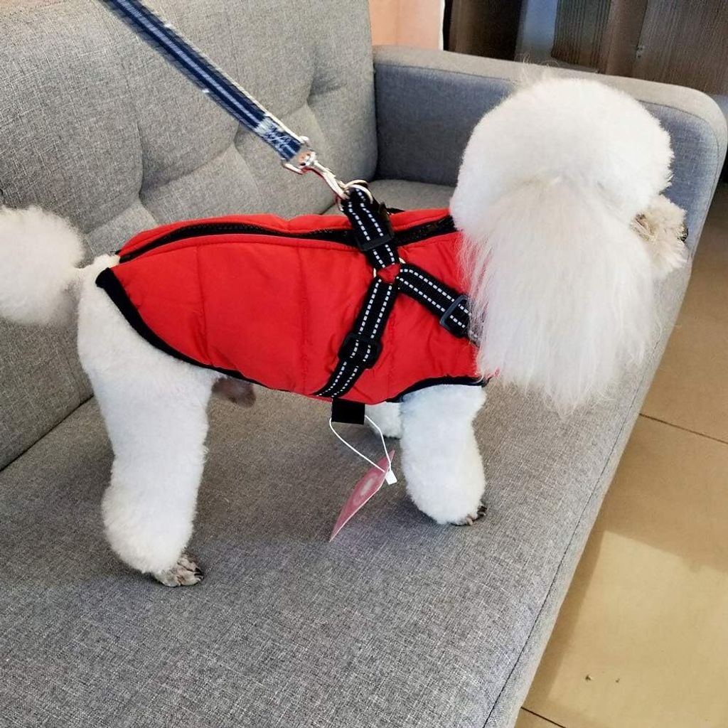 Psí bunda Zimní vesty Bundy Psí kabát Psí svetr Pet Obrázek produktu 4