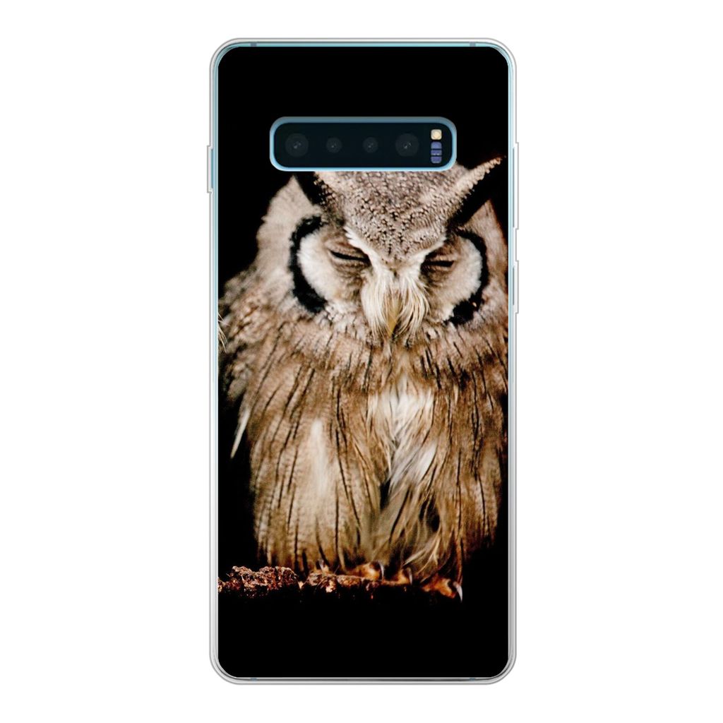 MuchoWow Handyhülle Schutzhülle Hülle für Samsung Galaxy S10 Plus Eule - Vogel - Schwarz Silikon Softcase Handy Hülle - Schutzhülle