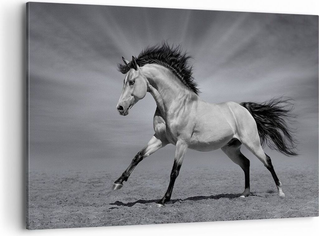 Bild auf Leinwand - Leinwandbild - Pferd Tier Natur - Produktbild 