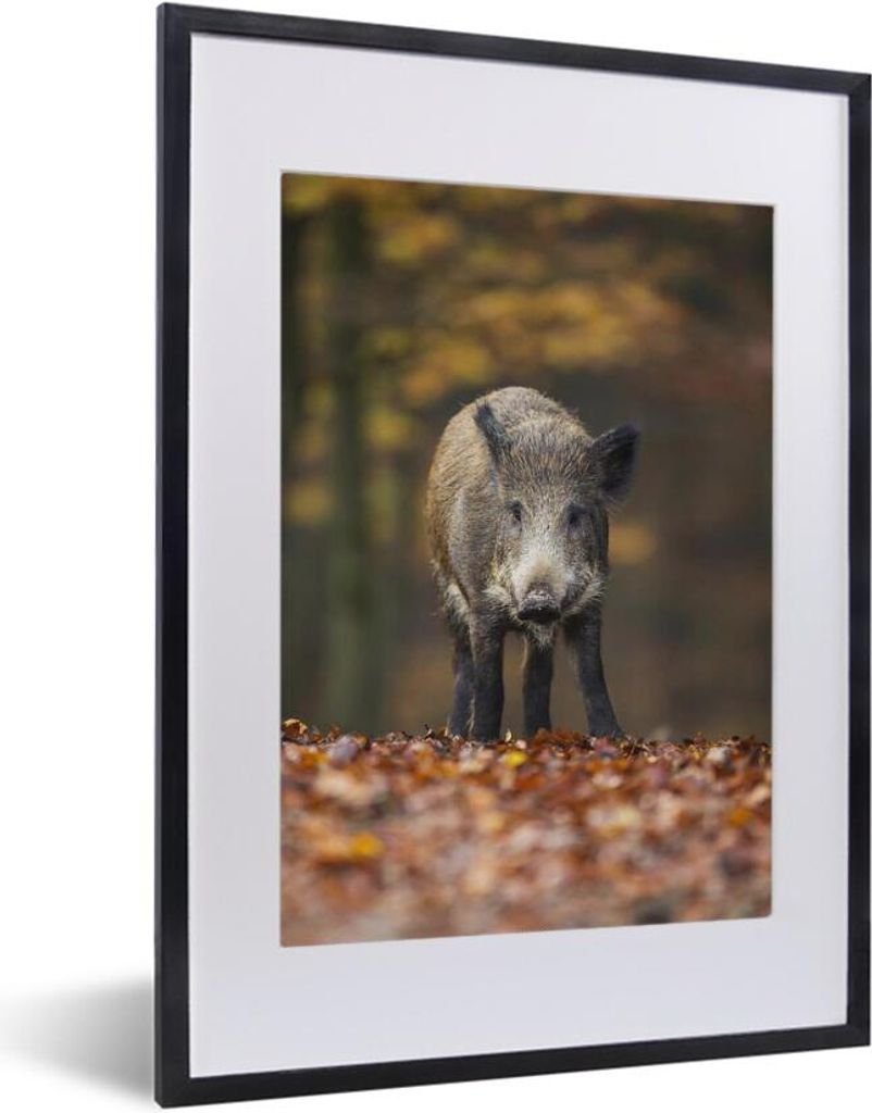 MuchoWow MuchoWow Gerahmtes Poster Wildtier - Wald - Herbst 30x40 cm - Poster mit zchwarzem Bilderrahmen - Wandposter Schlafzimmer