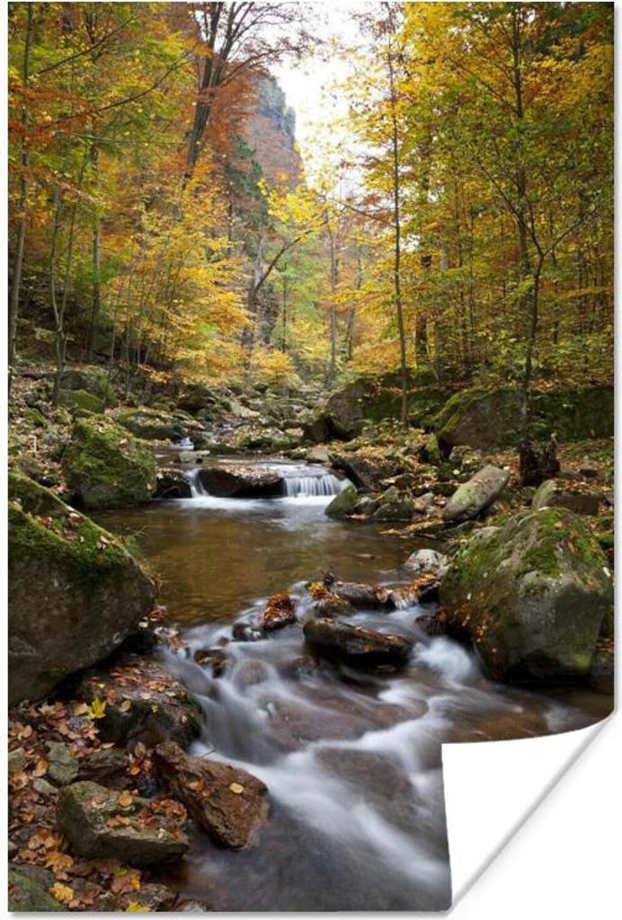 MuchoWow Poster Fluss in einem herbstlichen Tal des deutschen Nationalparks Harz 80x120 cm - Papierdruck