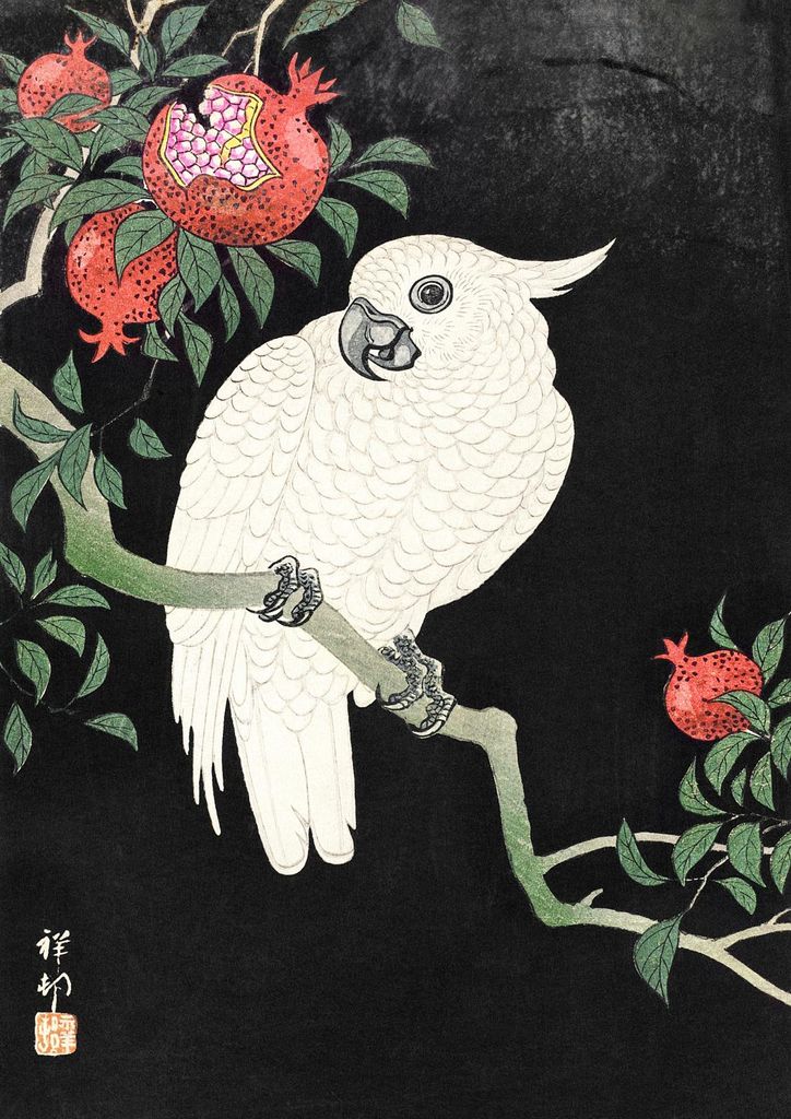 Plakat 29,7x42cm Kakadu und Granatapfel, Vintage Japanische Koson für das Wohnzimmer