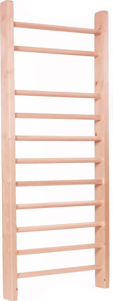 Échelle MASTER 240x80 cm pour travaux de peinture et rénovation maison