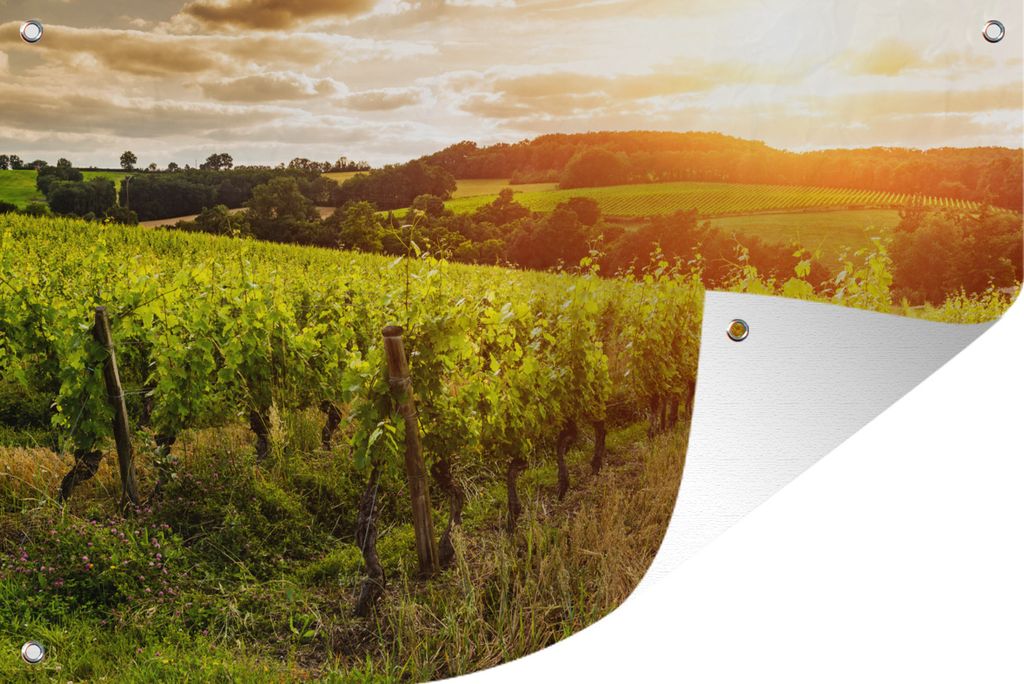 MuchoWow 120x80 cm Outdoor-Poster Gartendeko Sichtschutz Garten Poster für den Garten Weinberg bei Sonnenuntergang in Frankreich