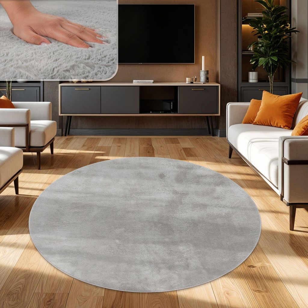 A living room scene with a round rug in the foreground.