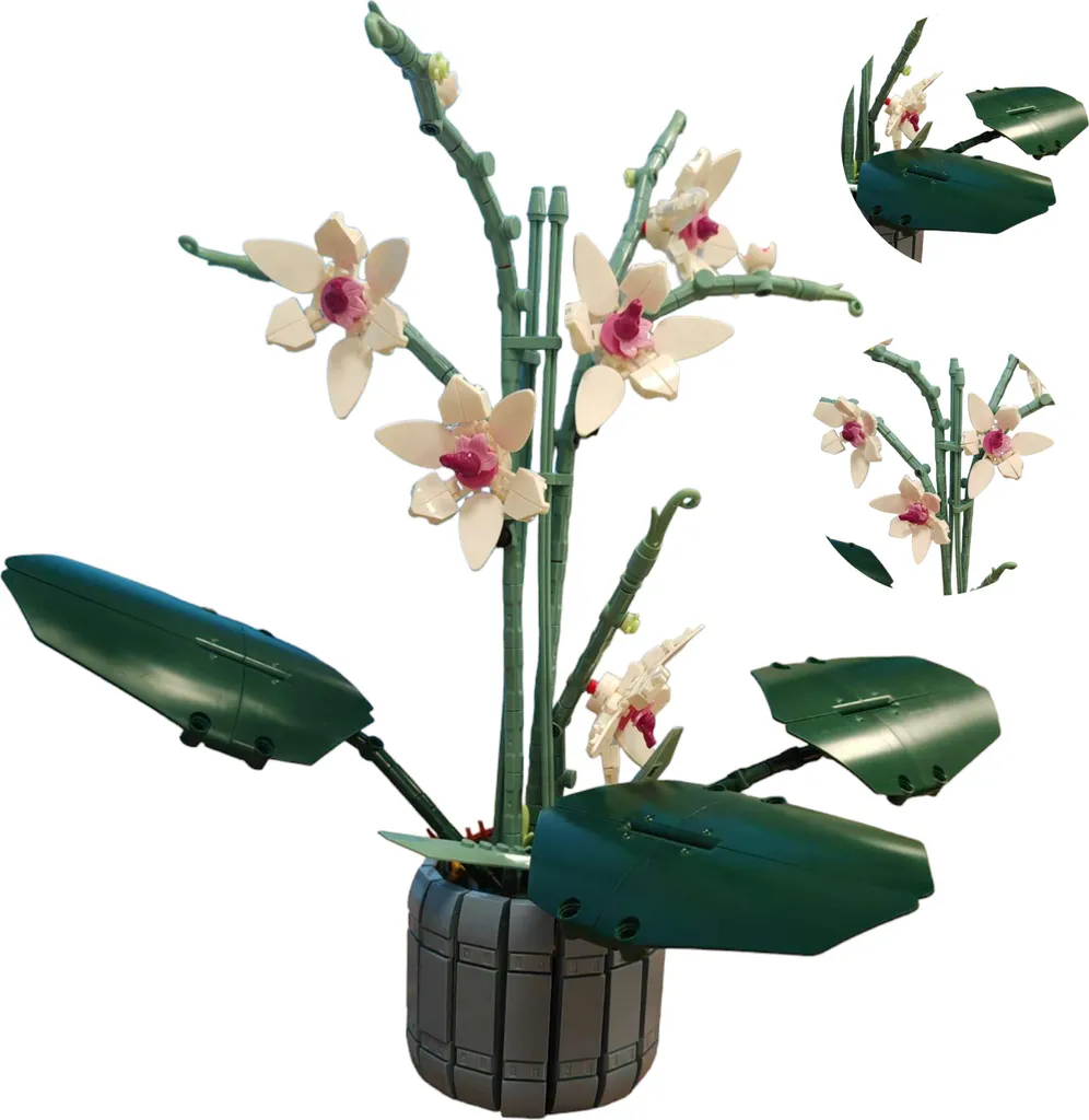 Fleurs d'orchidées 728 pièces : Le cadeau durable pour mains noires