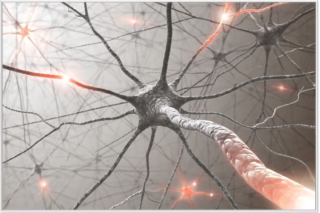Wallario Wandbild Menschliche Nervenzelle, Größe: 61 x 91,50 cm, Poster mit weißem Aluminiumrahmen
