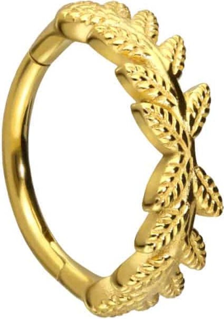 Ohrpiercing, Nasenpiercing, Septum Piercing Chirurgenstahl Segmentring Clicker BLÄTTERKRANZ Gold Innendurchmesser: 8 mm