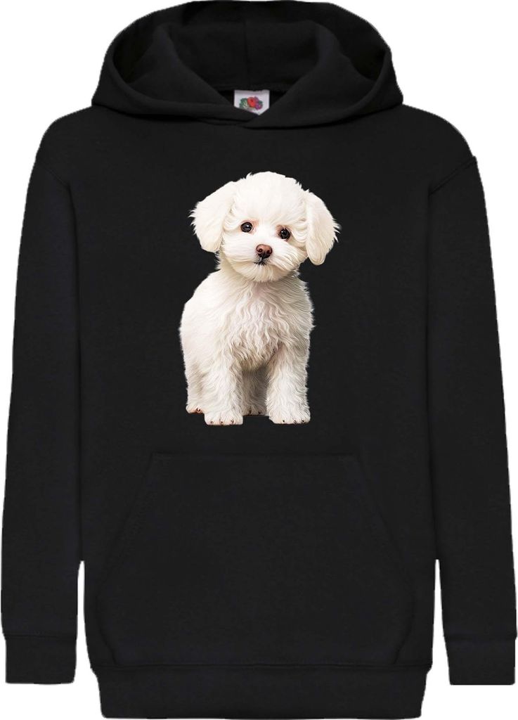 Dziecięca Bluza Z Kapturem Dogs Breeds Bichon Frise Dog Zdjęcie produktu 