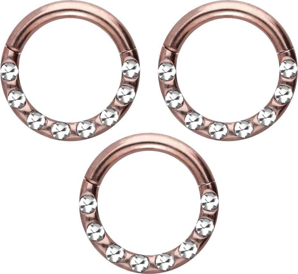 Ohrpiercing, Nasenpiercing, Septum Piercing SET Chirurgenstahl Segmentring Clicker KRISTALLE + EPOXY Roségoldfarben Innendurchmesser: 6mm | 3er SET