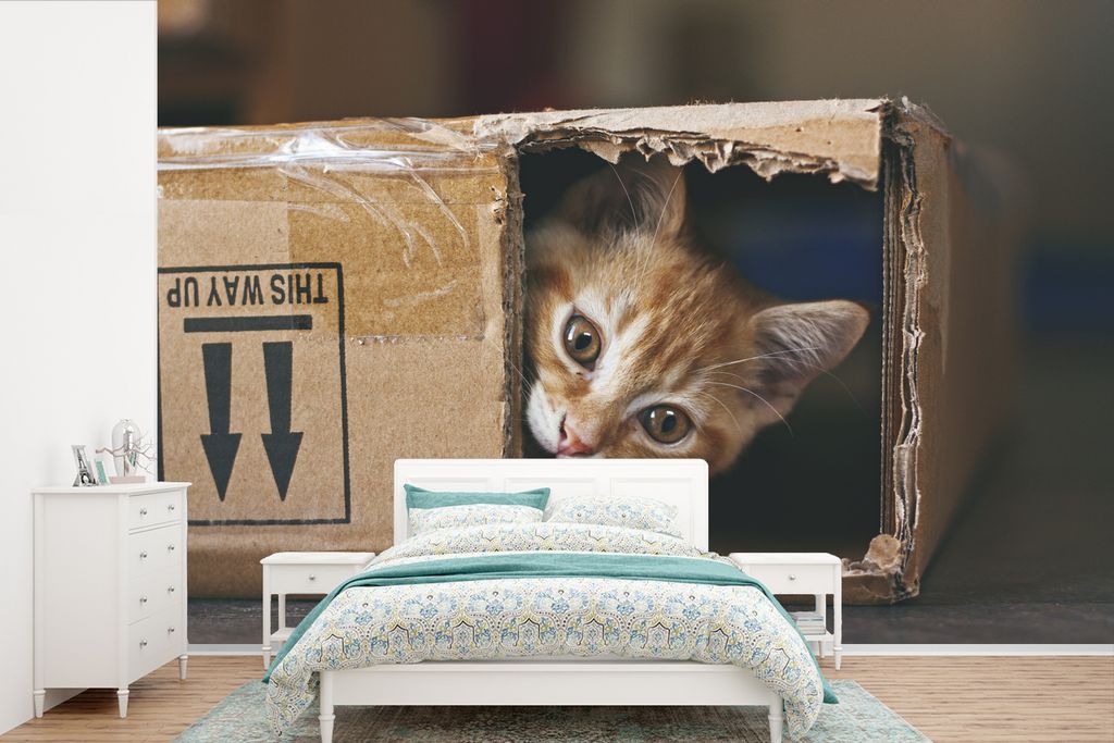 MuchoWow Fototapete für Wohnzimmer oder Schlafzimmer Wandtapete Vinyl Motivtapete Kätzchen - Box - Spielen - 360x240 cm - Vinyl-Tapete