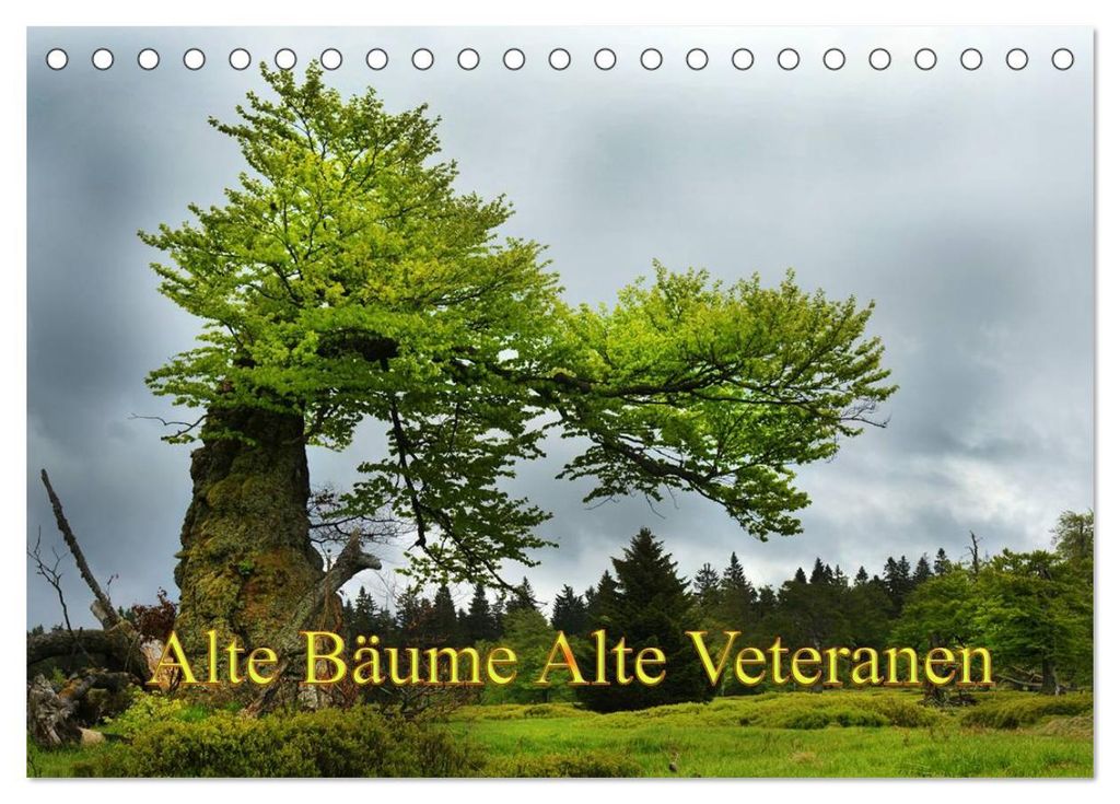 Alte Bäume Alte Veteranen (Tischkalender 2027 DIN A5 quer), CALVENDO Monatskalender
