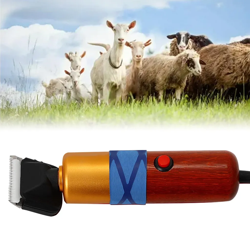 Tondeuse pour soins aux animaux de compagnie, kit de tonte complet - 3