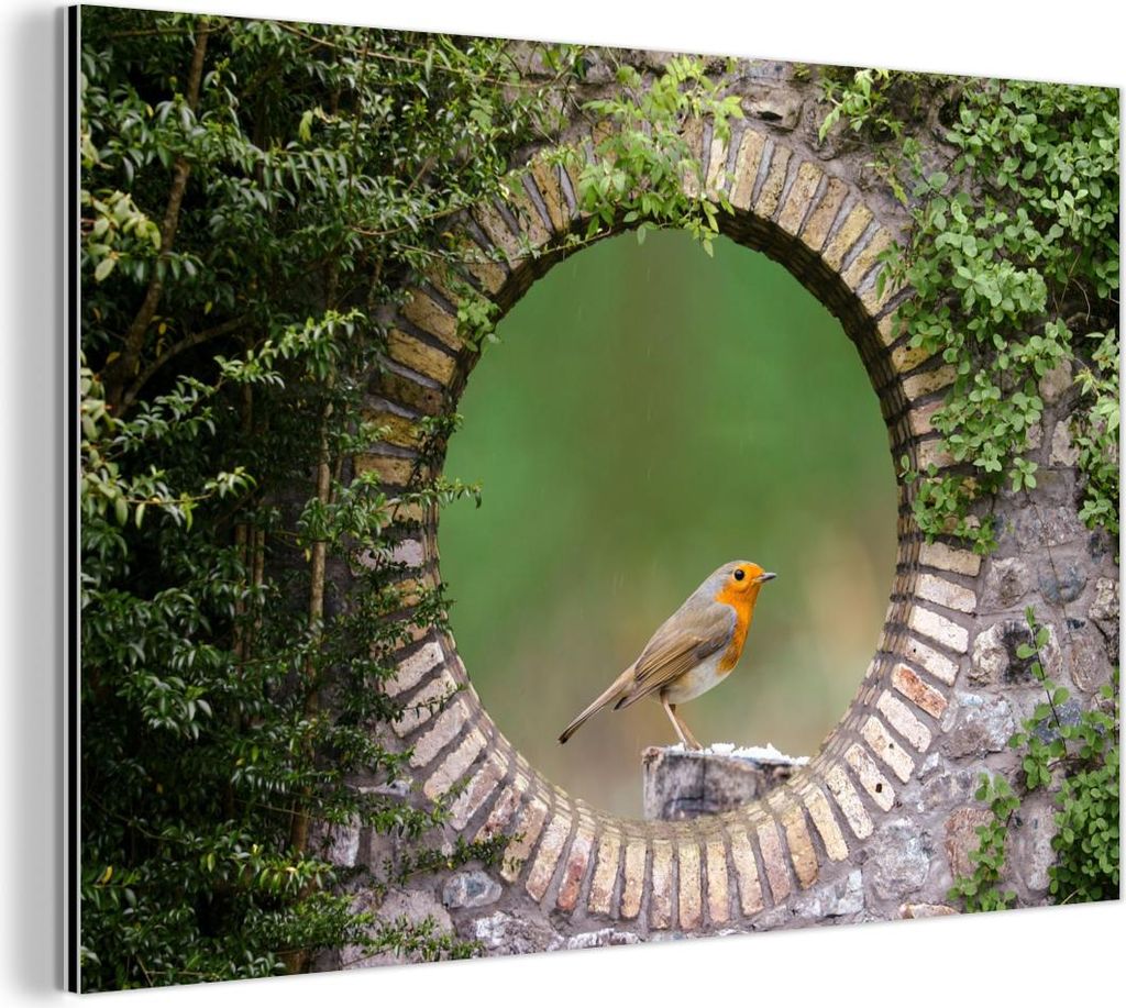 MuchoWow Wanddekoration Metall Metallbild Wandkunst 30x20 cm Vogel - Durchblick - Rotkehlchen MuchoWow Aluminium Gemälde - Aluminiumgemälder