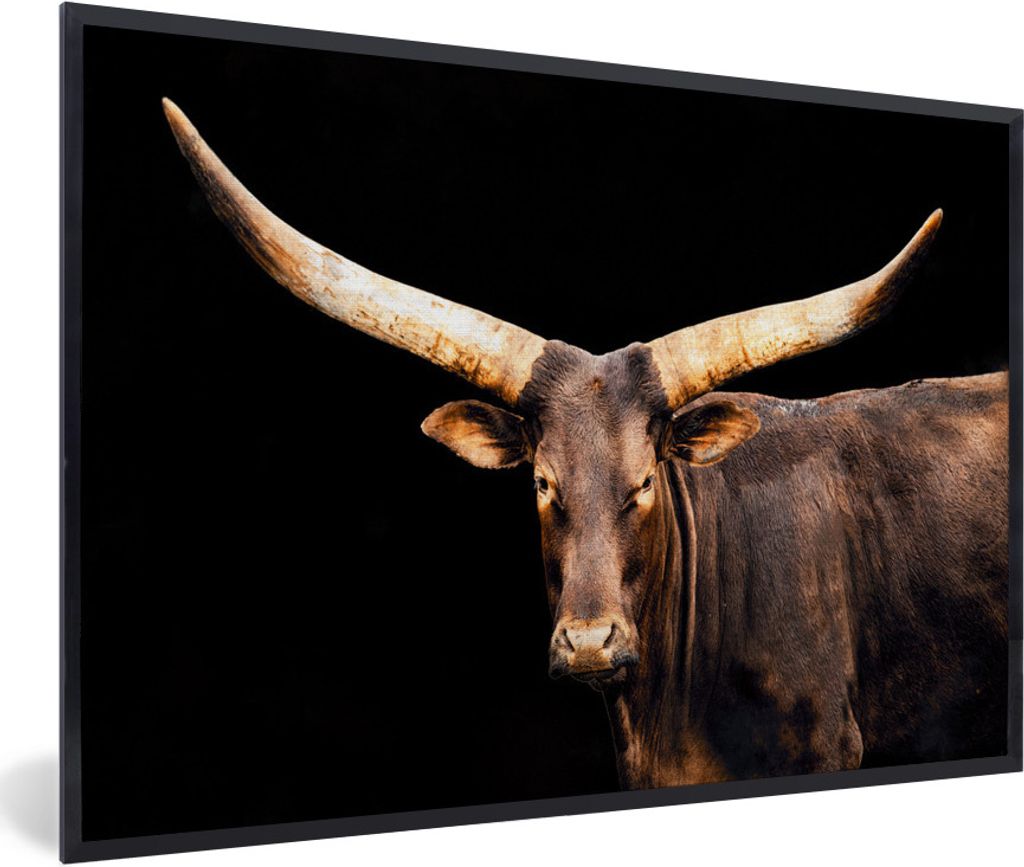 MuchoWow MuchoWow Gerahmtes Poster Kuh - Watussi - Hörner 90x60 cm - Poster mit zchwarzem Bilderrahmen - Fotorahmen - Foto-Plakat