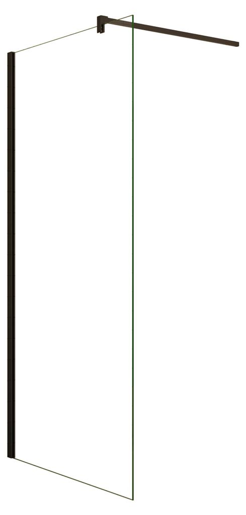 Duschspa Walk-In Dusche 60x200cm Schwarz matt Duschwand 8mm Produktbild 