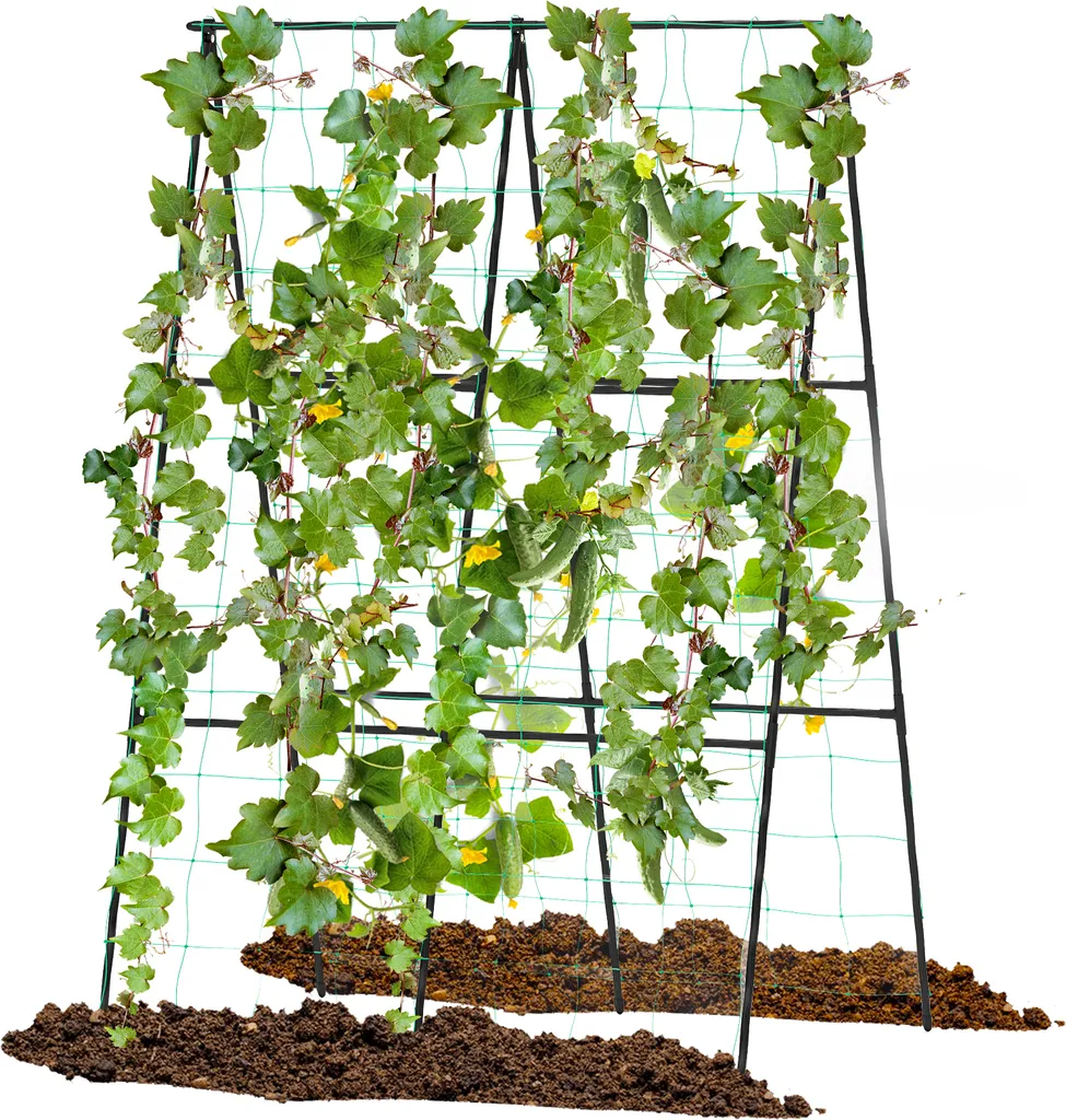 Support à Concombres Réglable en A - Treillis Métallique + Filet 124cm