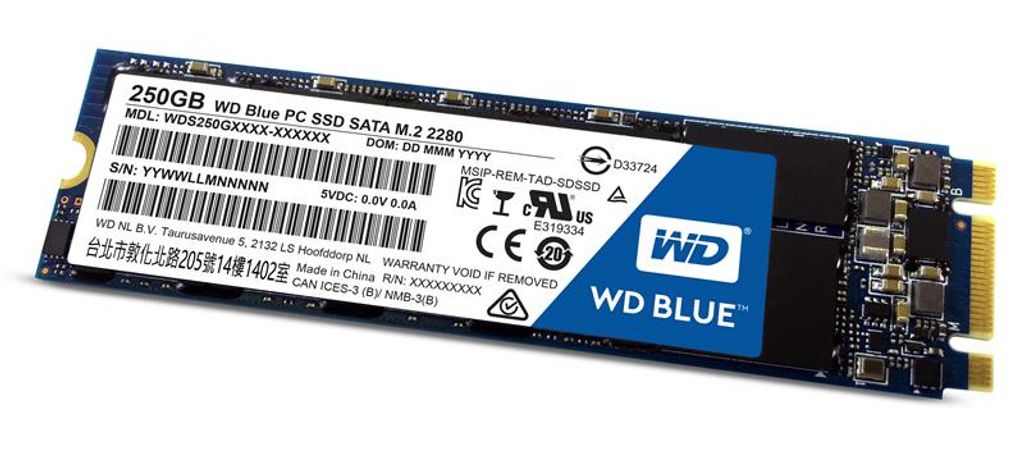WESTERN DIGITAL Blue SSD 250GB