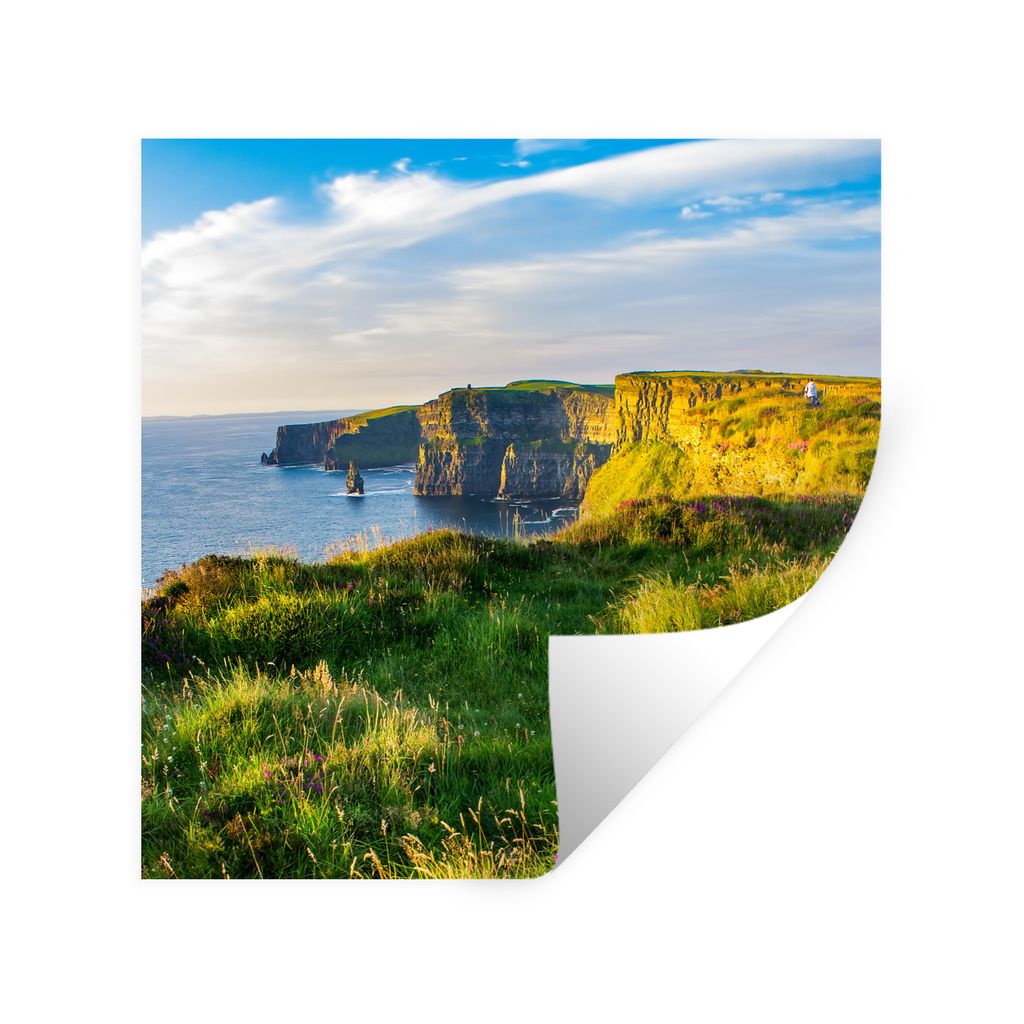 MuchoWow Wandtattoo Wandsticker Wandaufkleber Irische Blumen an den Cliffs of Moher 80x80 cm Selbstklebend und Repositionierbar - Wierderverwendb...