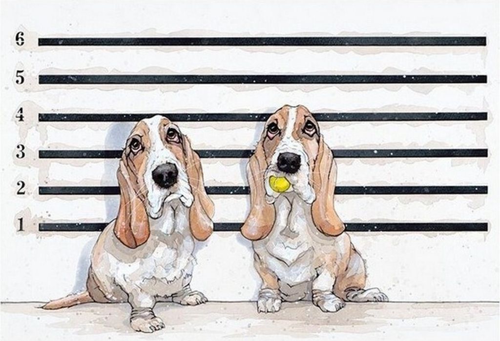 Bev Davies - bedruckt "Line Up-Bassets" PM7598 (30 cm x 40 cm) (Weiß/Cremefarbe/Schwarz)