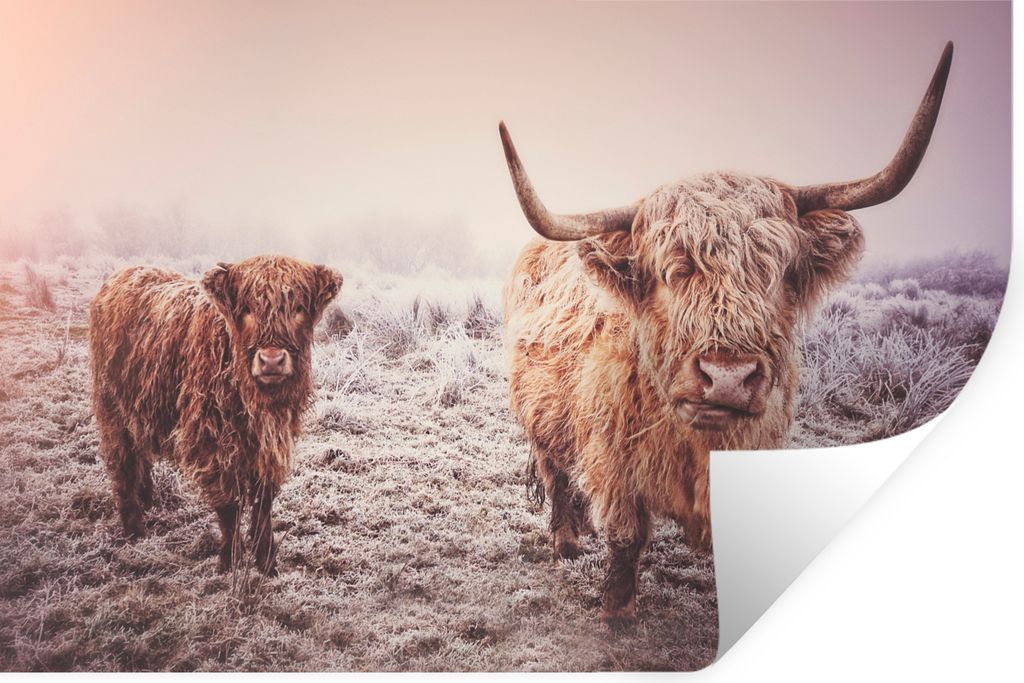 MuchoWow - Wierderverwendbar - Selbstklebend