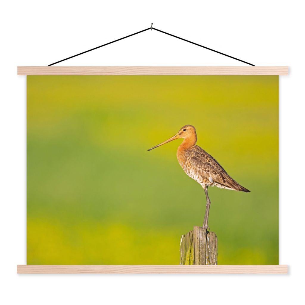 MuchoWow Textilposter Vogel - Tiere - Uferschnepfe - Pfahl - Grün 40x30 cm mit holzfarbenen Rahmen - Bilder