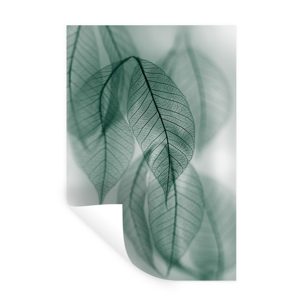 MuchoWow Wandtattoo Wandsticker Wandaufkleber Blätter - Grün - Natur - Stilleben 40x60 cm Selbstklebend und Repositionierbar - Wierderverwendba...
