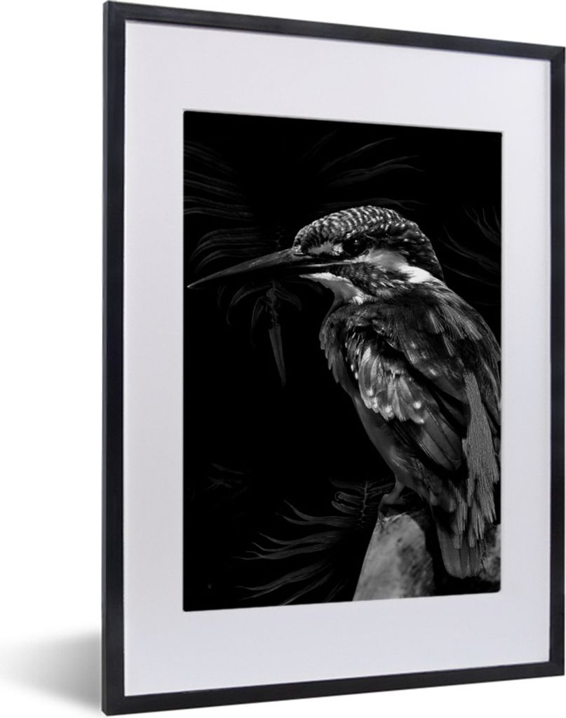 MuchoWow Gerahmtes Poster Vogel vor schwarzem Hintergrund - schwarz und weiß 30x40 cm - Poster mit Schwarzem Bilderrahmen Wandposter Rahmen Foto...
