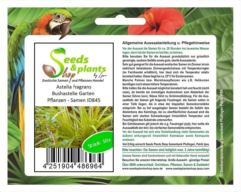 10x Astelia fragrans Bushastelie Garten Pflanzen - Samen ID845