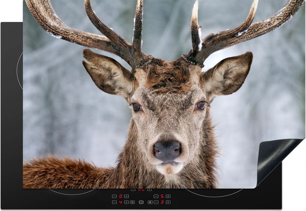 KitchenYeah Herdabdeckplatte Hirsche - Geweihe - Schnee , 76x51cm, Küche Deko, Glaskeramikfeld Herdabdeckung, Abdeckplatte fùr Kochfeld