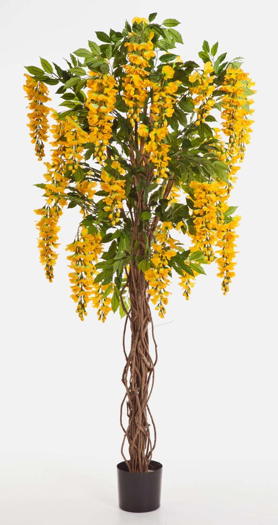 artplants.de Deko Goldregenbaum gelb, 975 Blätter, 35 Blüten, 180cm - Kunstbaum - Künstliche Blumen