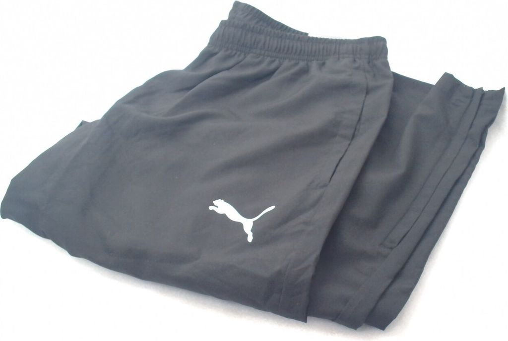 PUMA Teamrise Sideline Training Pants Męskie spodnie Zdjęcie produktu 2
