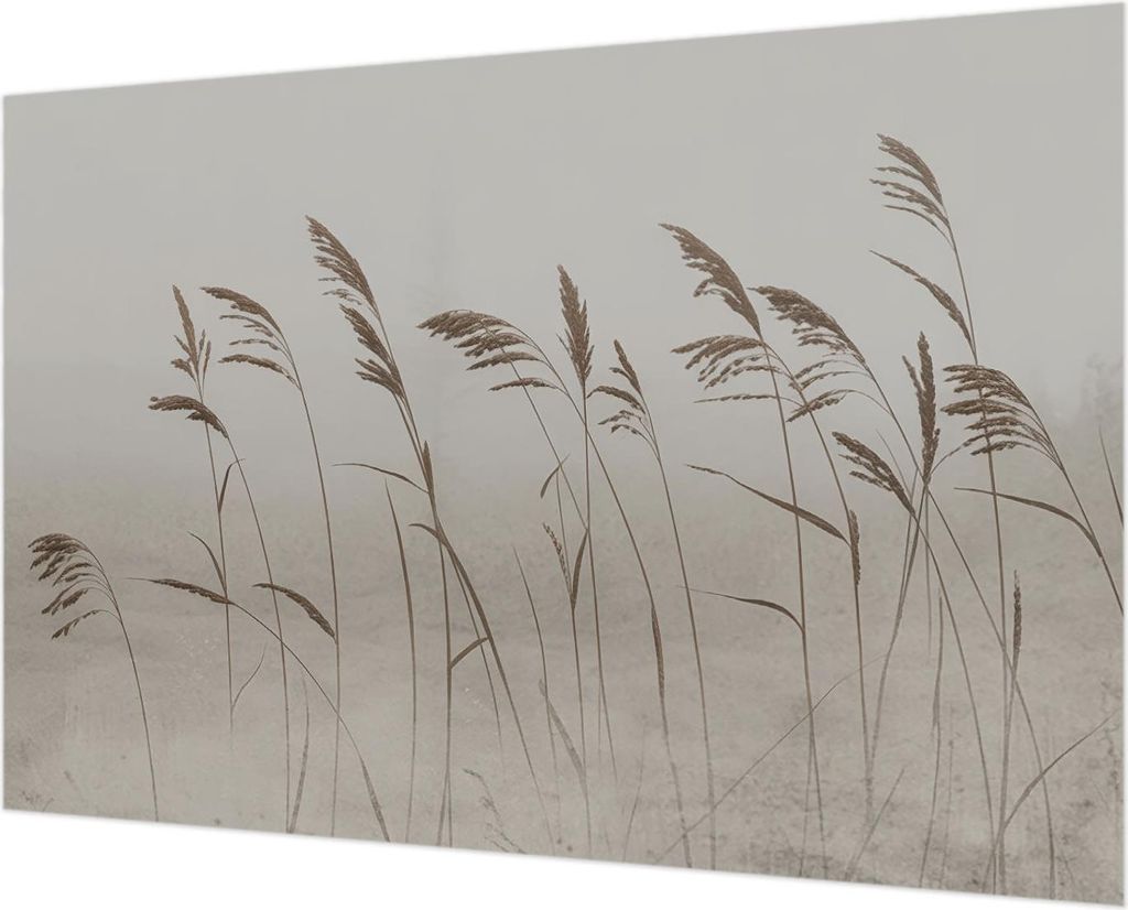 Wandtapete - Dekorative Tapete für Wohnzimmer - Tapetenfolie für Wanddekoration - 152x104 cm - Gräser im Nebel