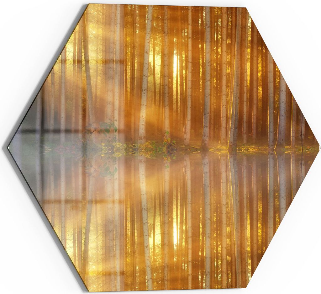DEQORI Glasbild Echtglas 40x35 cm 'Waldspiegelung am See' Wandbild Bild modern Deko