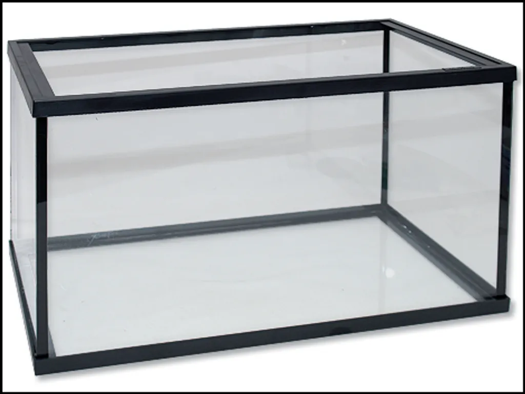Vasca Acquario ANTE 60x30x35 cm 63L | Spessore 5mm per Aquascaping