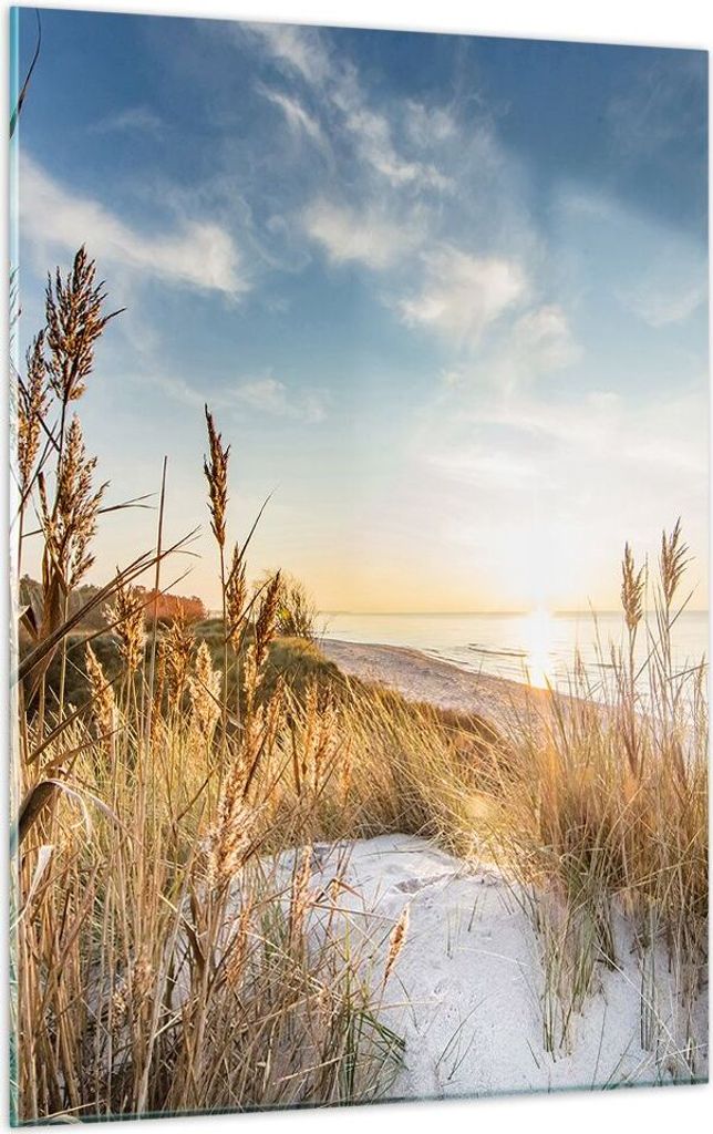Bilder auf glas - Einteilig - Ähren Küste Sonne - 50x70cm - Glasbilder - Wandbilder - Bilder - zum Aufhängen bereit - Wanddekoration aus Glas - ...