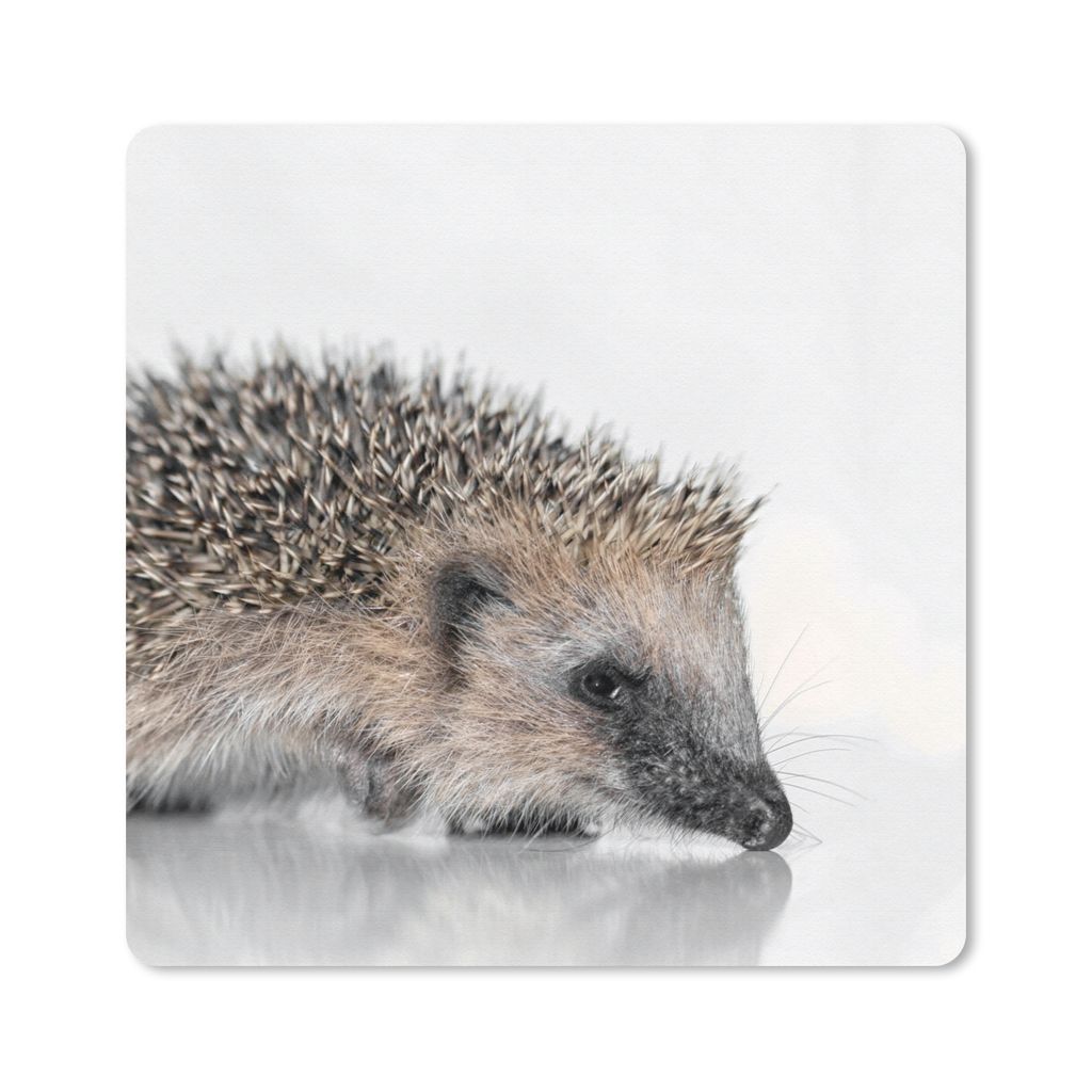 MuchoWow Mauspad Mousepad Igel - Weiß - Braun 20x20 cm - Mousepads - Maus Mat - Pad - Mausunterlage - Desk Mat - Bureauartikeln
