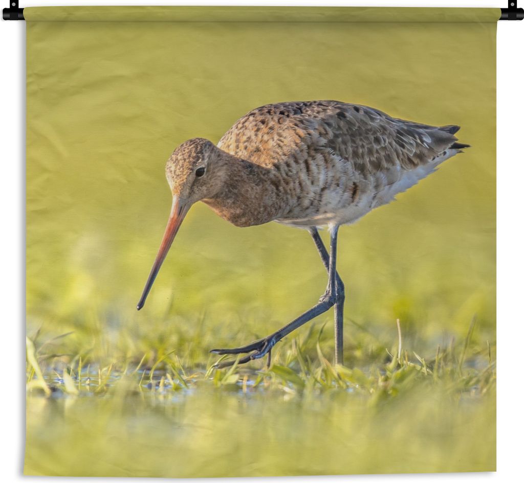 MuchoWow Wandteppich Wandbehang Vögel - Gras - Landschaft - Uferschnepfe 120x120 cm Tapisserie Dekoration Wandtuch - Modern - Baumwollgewebe