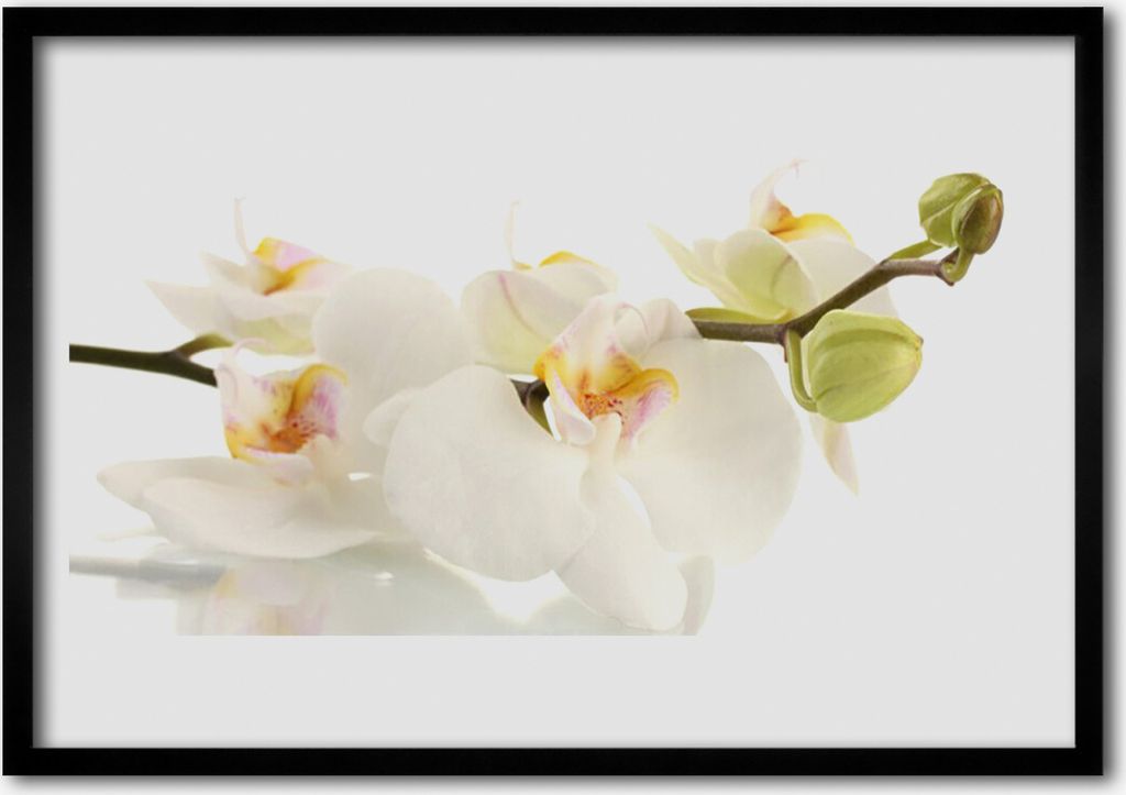 Bild 100x70 MDF-Rahmen Wandkunst Blumen Pflanzen Natur Produktbild 