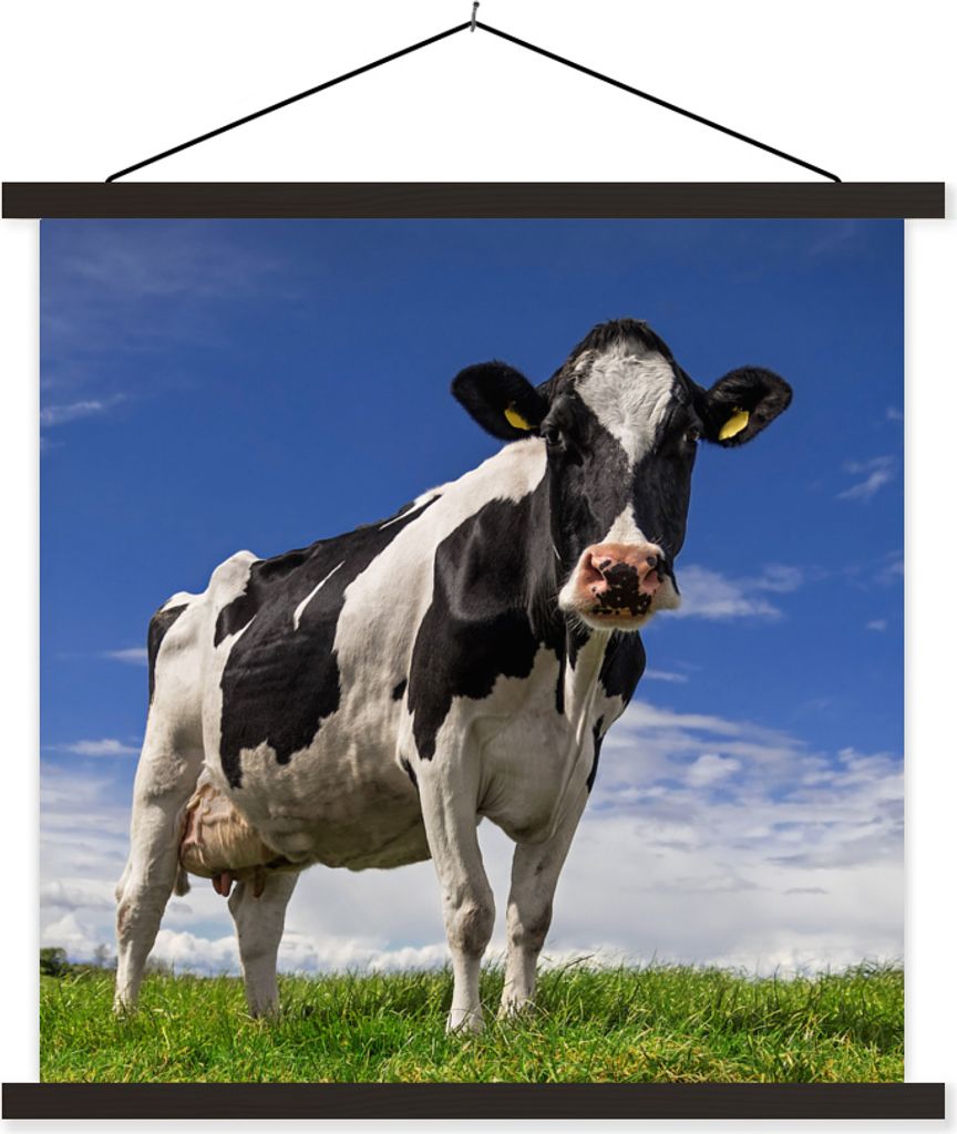 MuchoWow Textilposter Kuh - Gras - Blau - Tiere 40x40 cm mit schwarzem Rahmen - Fotos