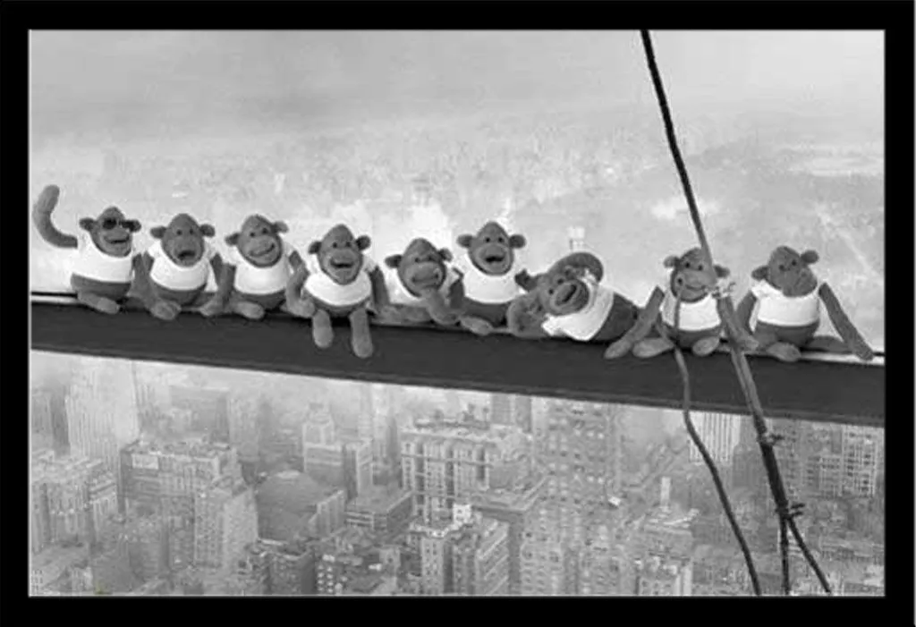 Poster Monkey on Girder Encadré Shinsuke : Fini les Affiches Abîmées