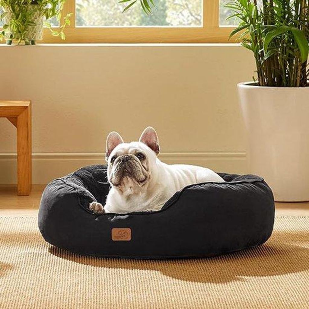 Katbett 76 x 61 x 20 cm - Mit doppeltem Kissen - Ideal für Katzen oder kleine Hunde - Schwarz