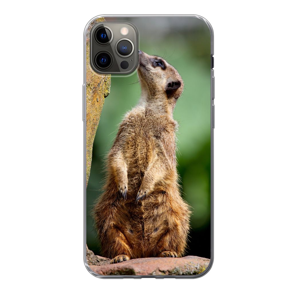 MuchoWow Handyhülle Schutzhülle Hülle für iPhone 13 Pro Max Erdmännchen - Tier - Rock Silikon Softcase Handy Hülle - Mobiltelefon