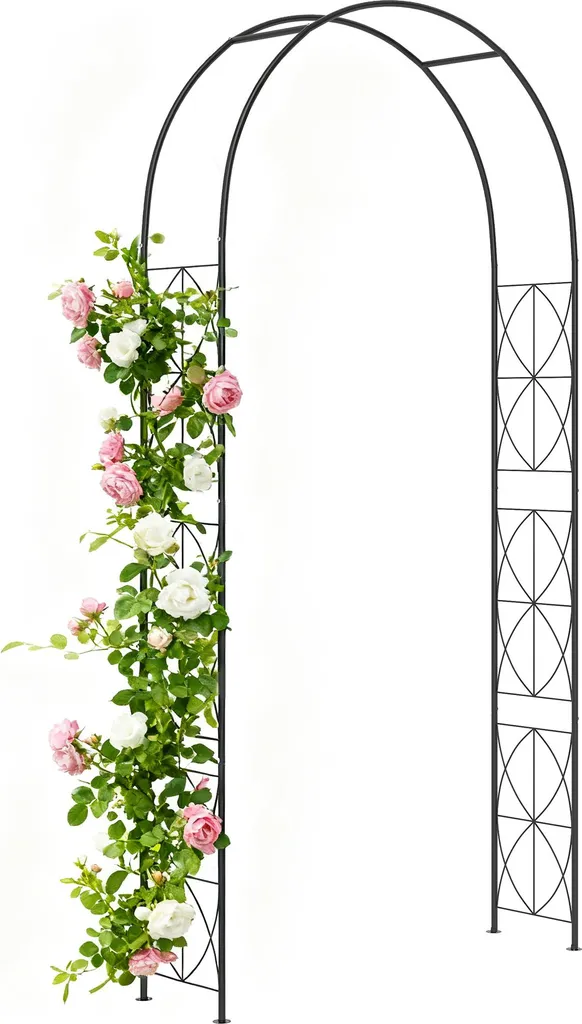 Arche à Rosiers en Fer Forgé Noir 230 cm - Tuteur Design pour Extérieur