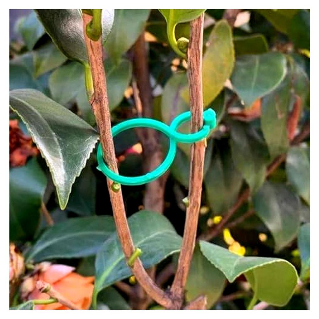 Kletterpflanzen-Clips | Halteclips für das Wachstum von Kletterpflanzen - Befestigungshilfe für Gemüse